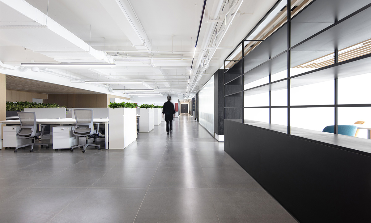 ɭ�����ɶ������칫�ռ䣺������ã��ϳ���������