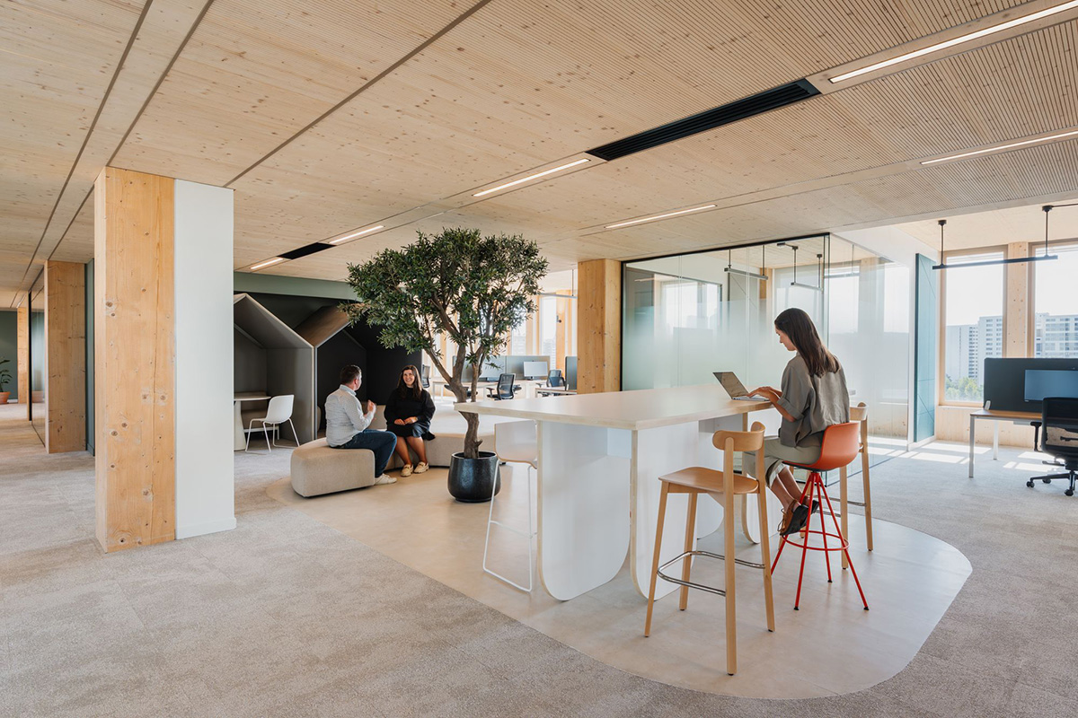 ���Ϳ�DKV�����ܲ�԰��������Ա���������̼δ��