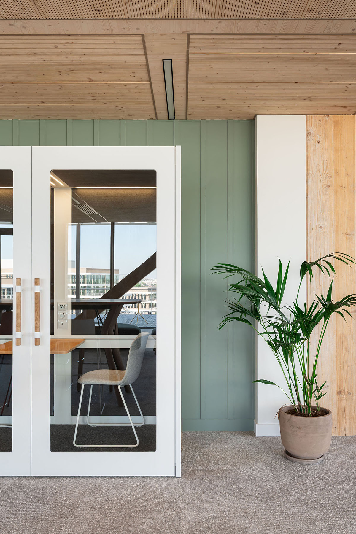 ���Ϳ�DKV�����ܲ�԰��������Ա���������̼δ��