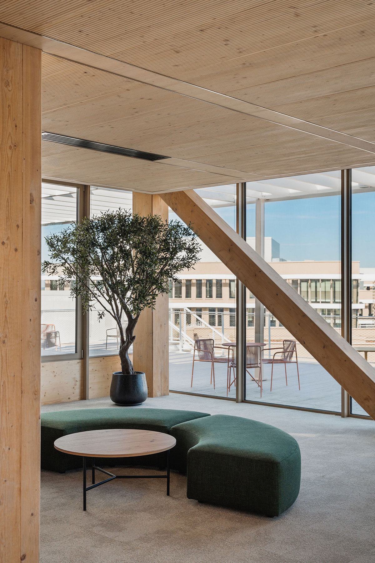 ���Ϳ�DKV�����ܲ�԰��������Ա���������̼δ��