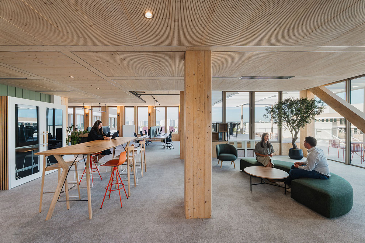 ���Ϳ�DKV�����ܲ�԰��������Ա���������̼δ��