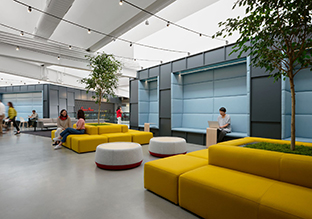 ����������֯�ܲ���ƣ����+����+Э��