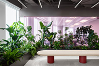 Publicis��ʨ�����Ϻ��ܲ��칫 ��������