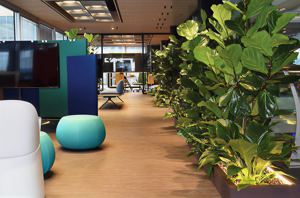 ������ͷiGuzzini�ܲ����⡤ɫ���Ҿ߹�����ЧЭ����