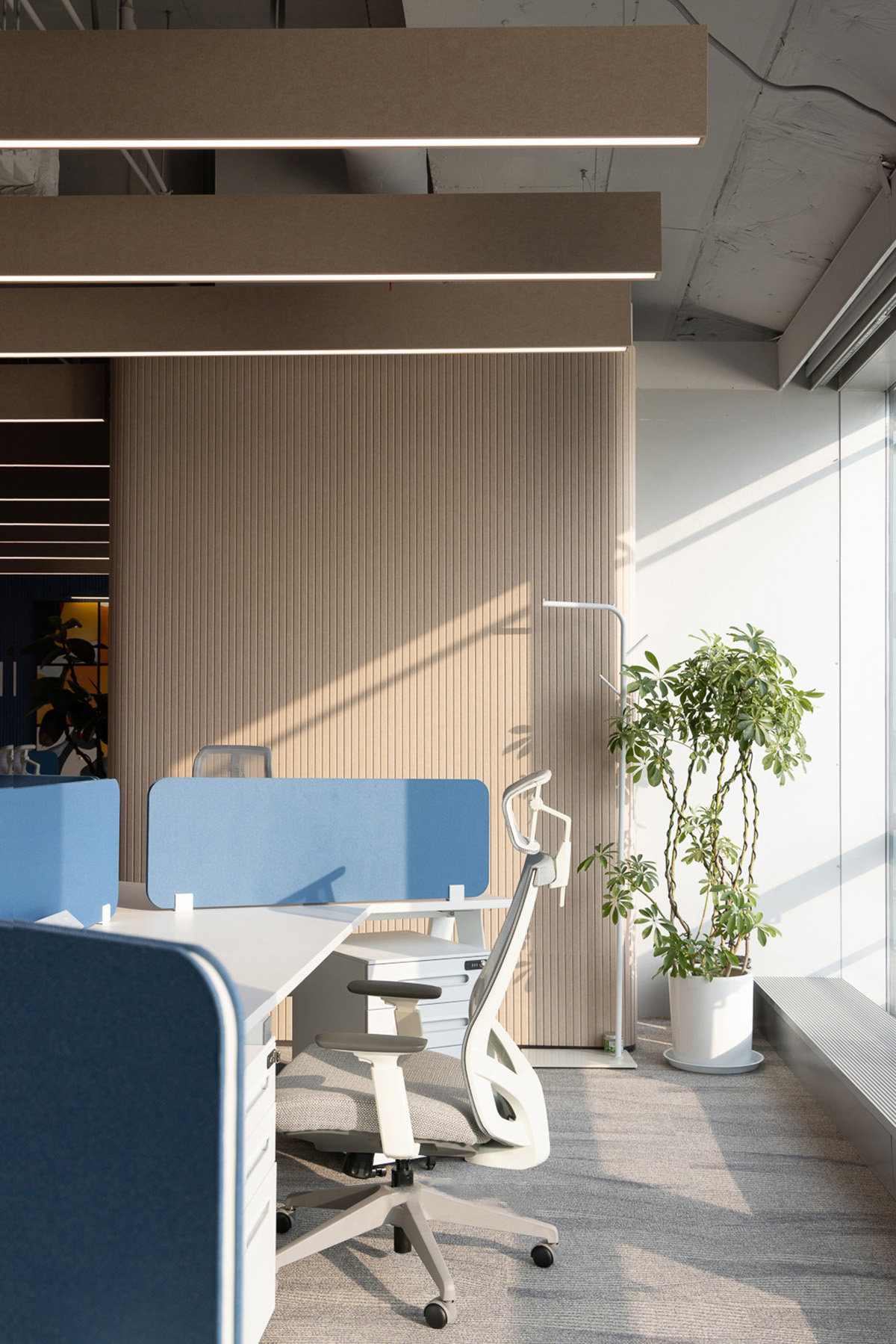 ��½�����Ϻ��ܲ���һ��Ϸ�绯������