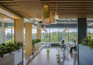 �����Ƽ���˾��¥���죺����ѭ�����˳������