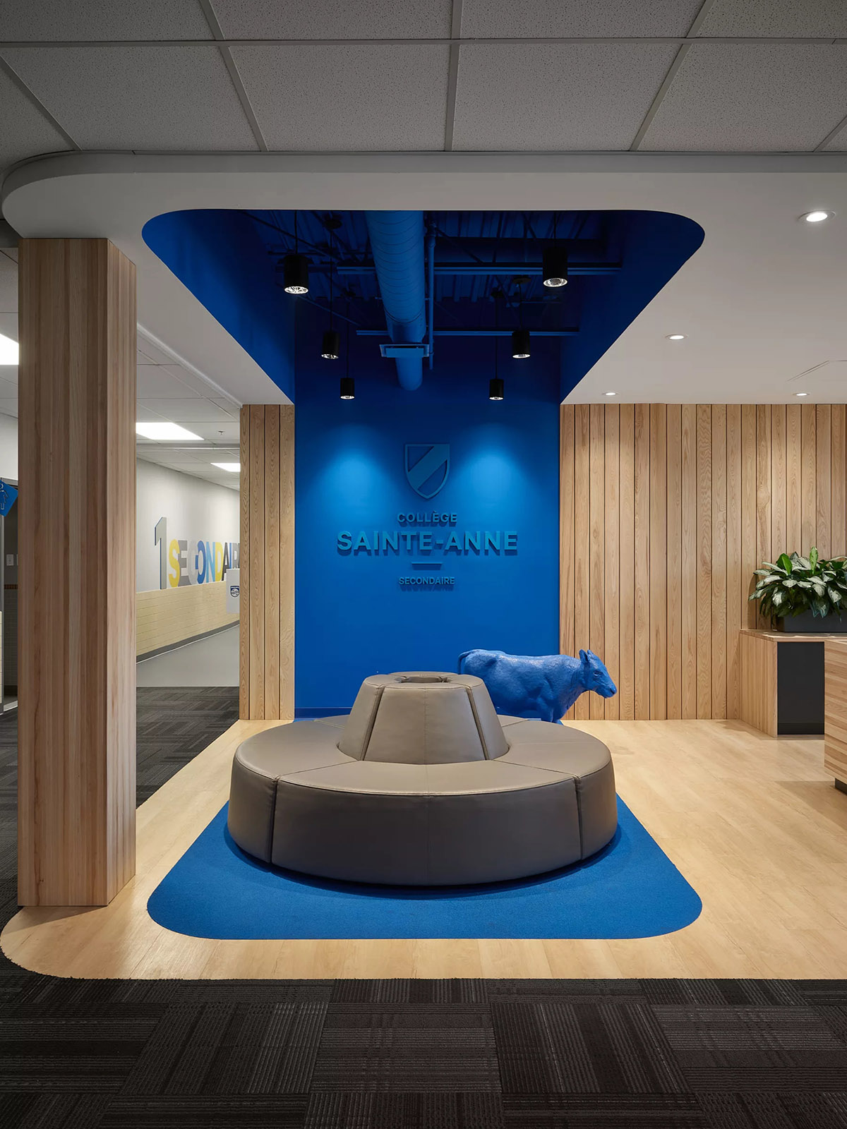 Marie Esther��ѧ¥���죺���������鶯��δ��ѧϰ�ռ�