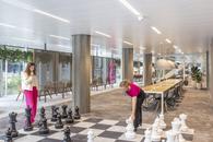 De Knoop�����ڵ���֧�칫 ������