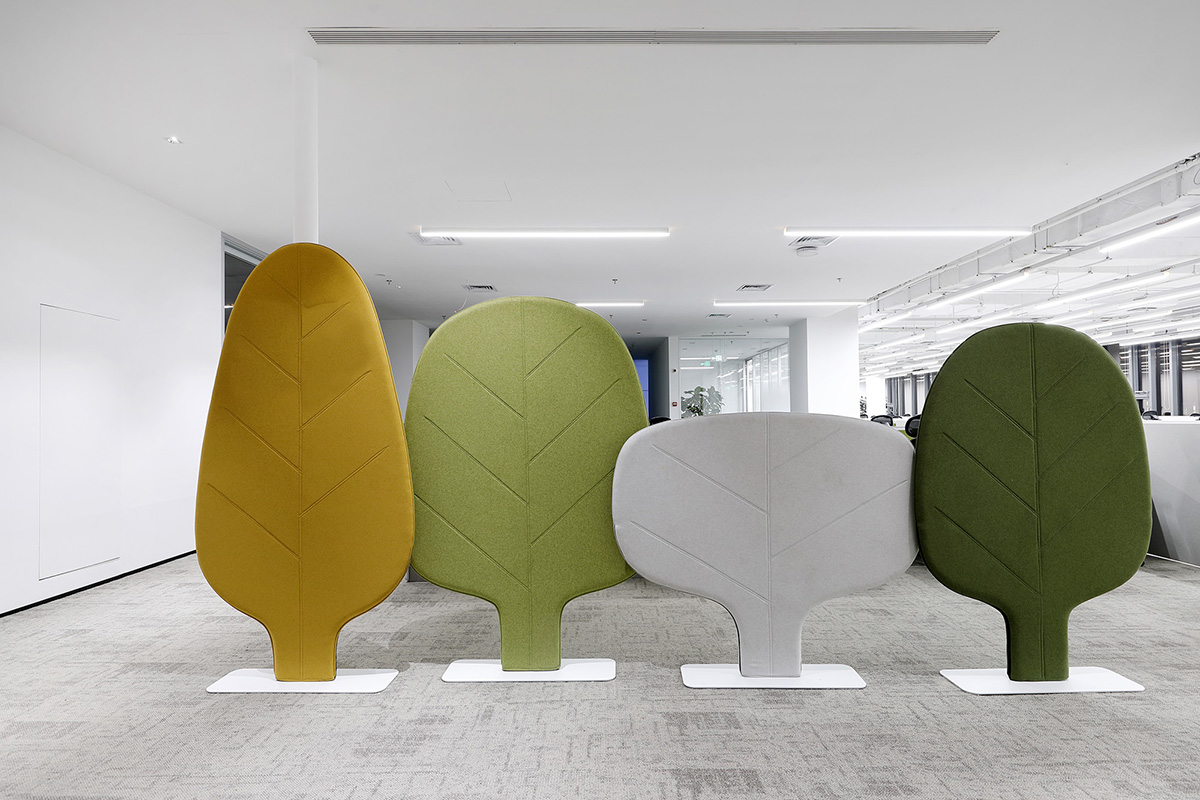 ��̩�뵼���Ϻ��ܲ����Ƽ�������˫�򱼸�