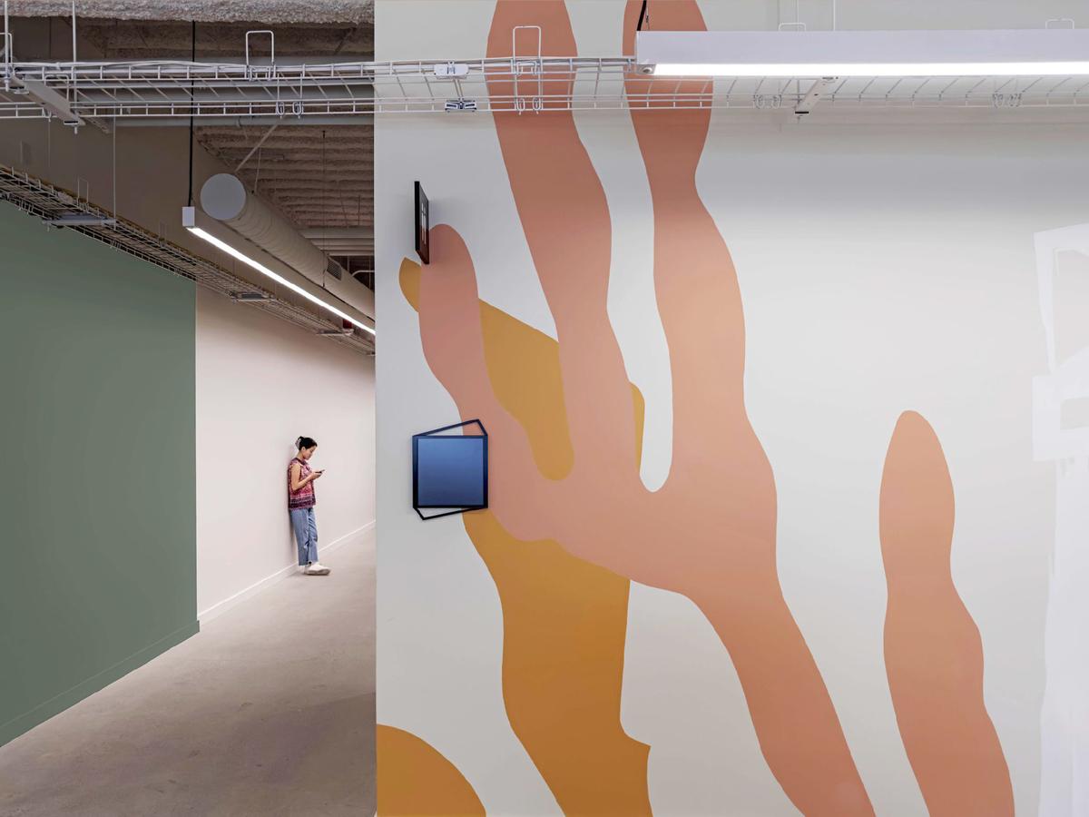 �Ƽ���ͷʥ�����ܲ�����������Ļ�������