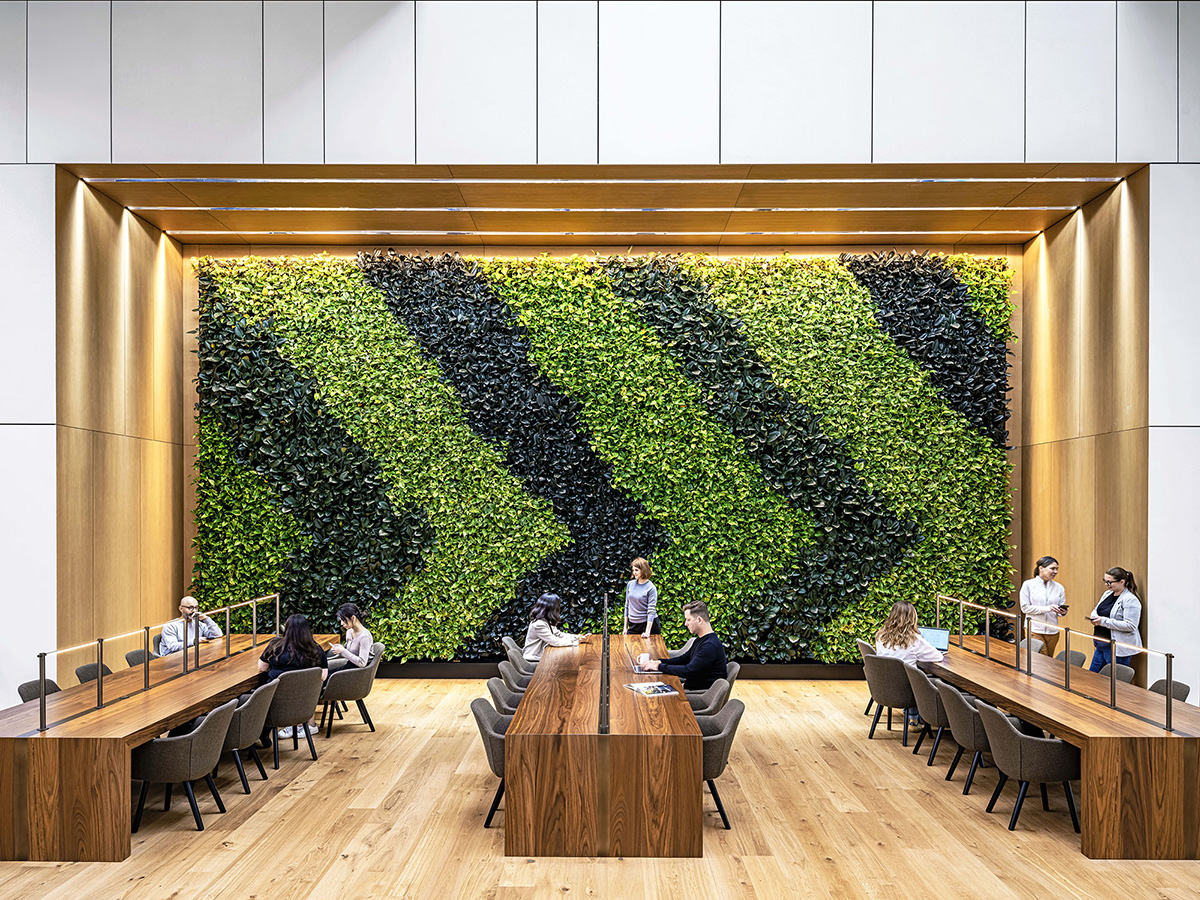 ���վ�ͷCo-operators�ܲ���˫������֤�Ľ���ʱ�а칫