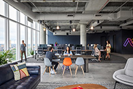 ��洫ýArm Candy����˹�칫 ���Ű칫��