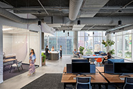 ��洫ýArm Candy����˹�칫 ������