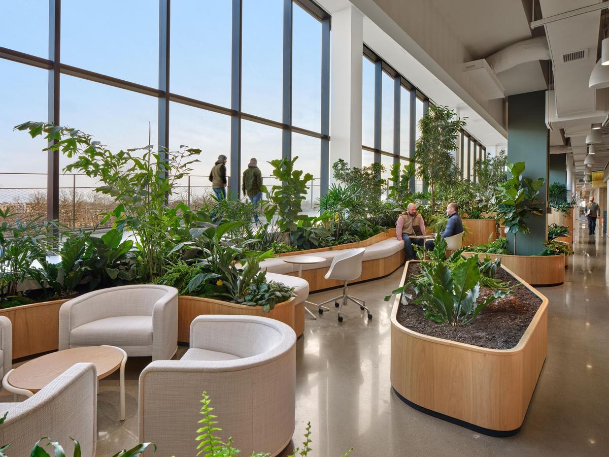 ����Arvest������ƣ����ռ�����ع���ϰ칫