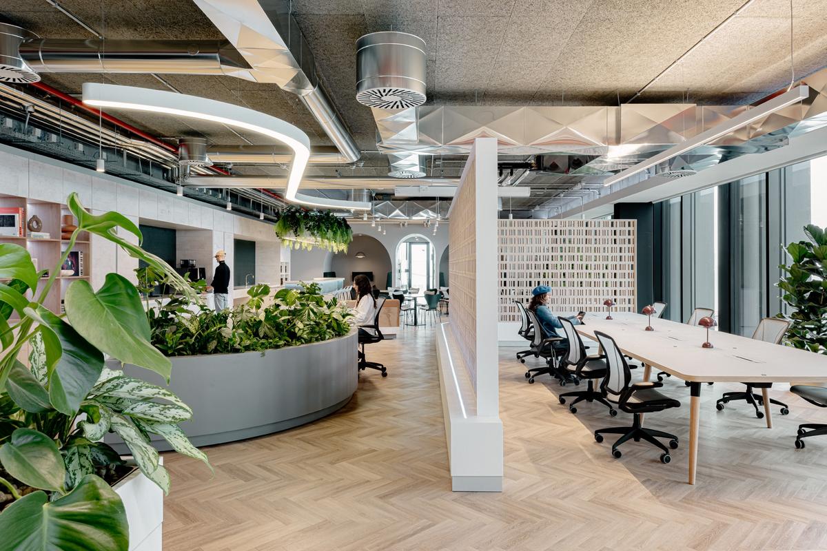 Sage����ͼ�칫�ң����û�б�׼�𰸣���ӦΪ�������ˡ����