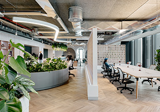 Sage����ͼ�칫�ң����û�б�׼�𰸣���ӦΪ�������ˡ����