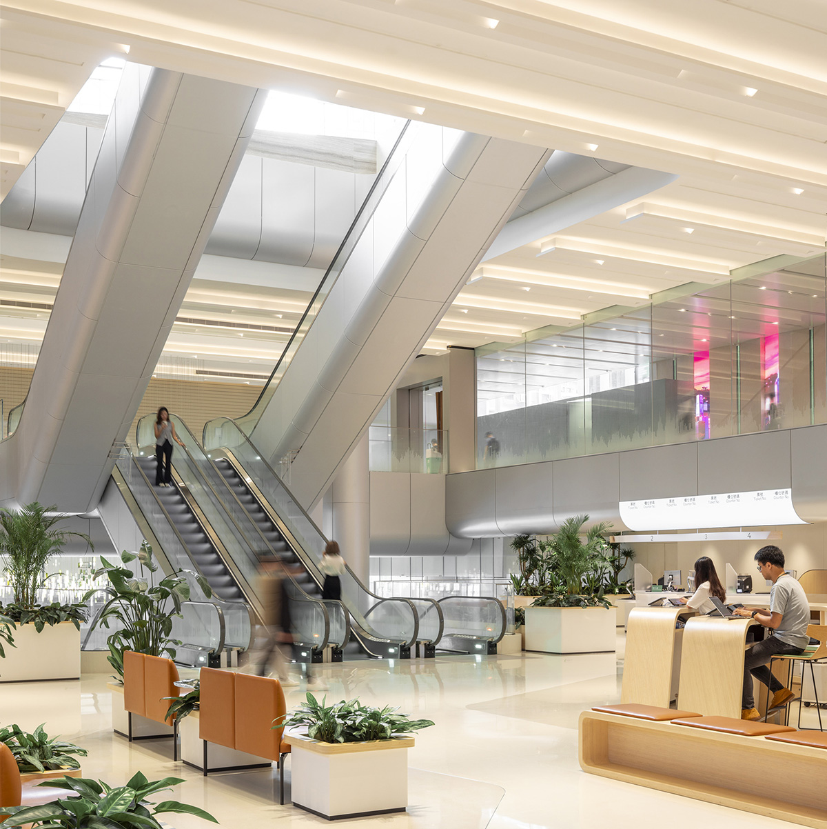 ��������������л��£��Կɳ������ڹ�͡�δ������2.0��