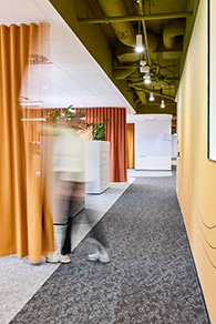 Lipton���ٲ���ȫ��������İ칫 ��������