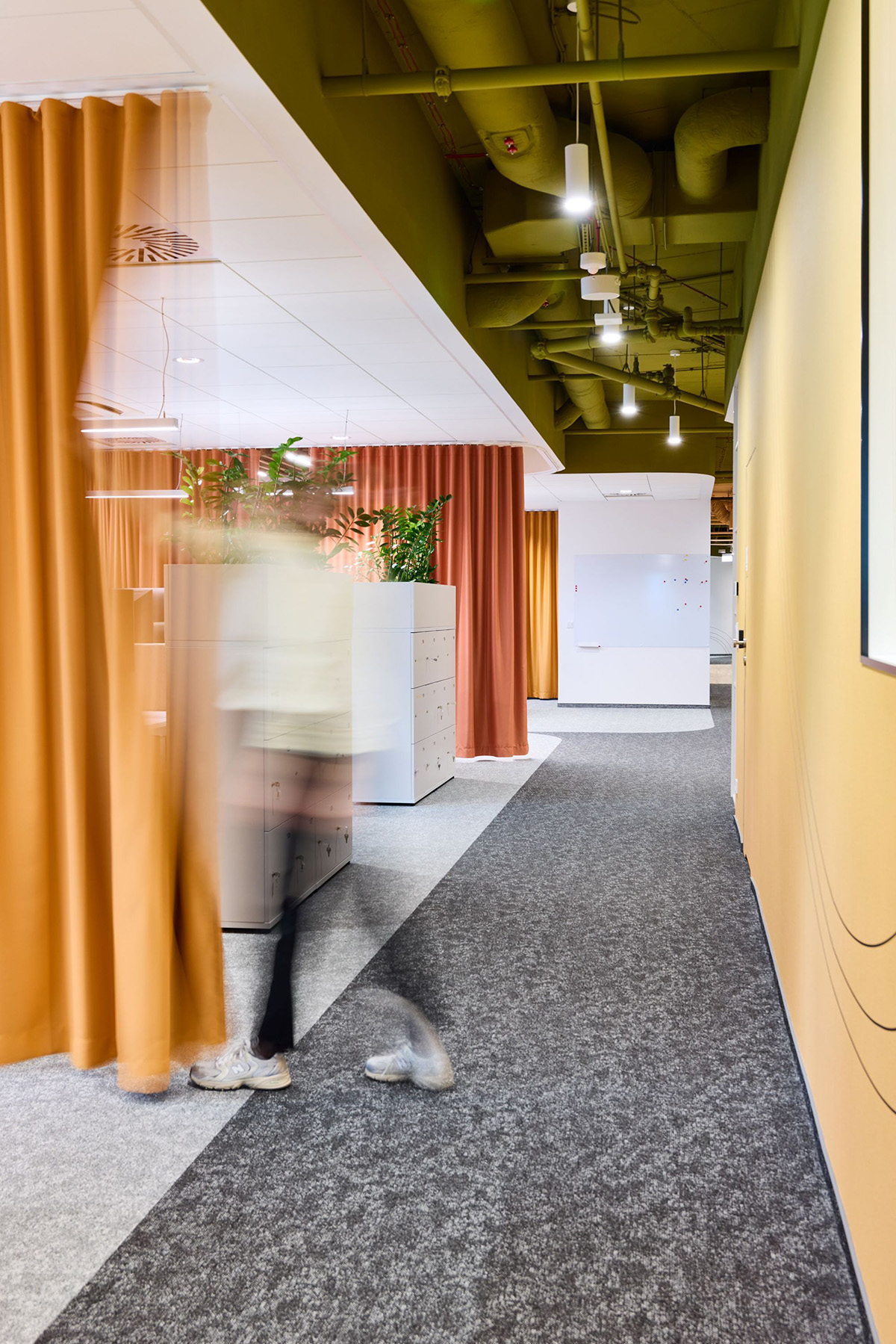 Lipton�ġ�̫�����Ρ����֣���Ĺ�λ�Ǽ����ӵ�̫����