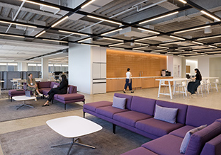 ��ƽ����UnileverΪ�ΰ��ܲ��ӽ����ᵽ�����ģ�