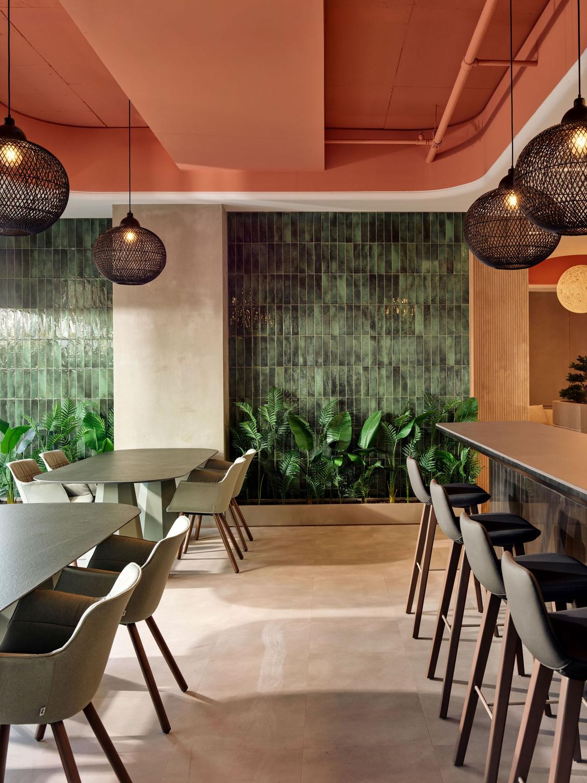 Feyzi ��ó��˹̹�����칫�ң������ʸи߶�����