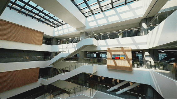 �Ϻ�����ȫ����԰����ɭ��֮�ϵĿƼ���ѧ