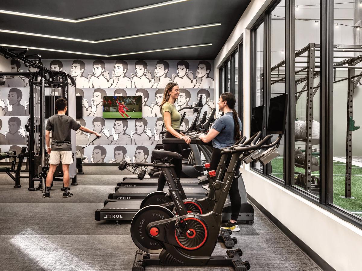 The Clover��Ԣ�������Բ���Ϊ��е�ǰ��ʱ����ѧ