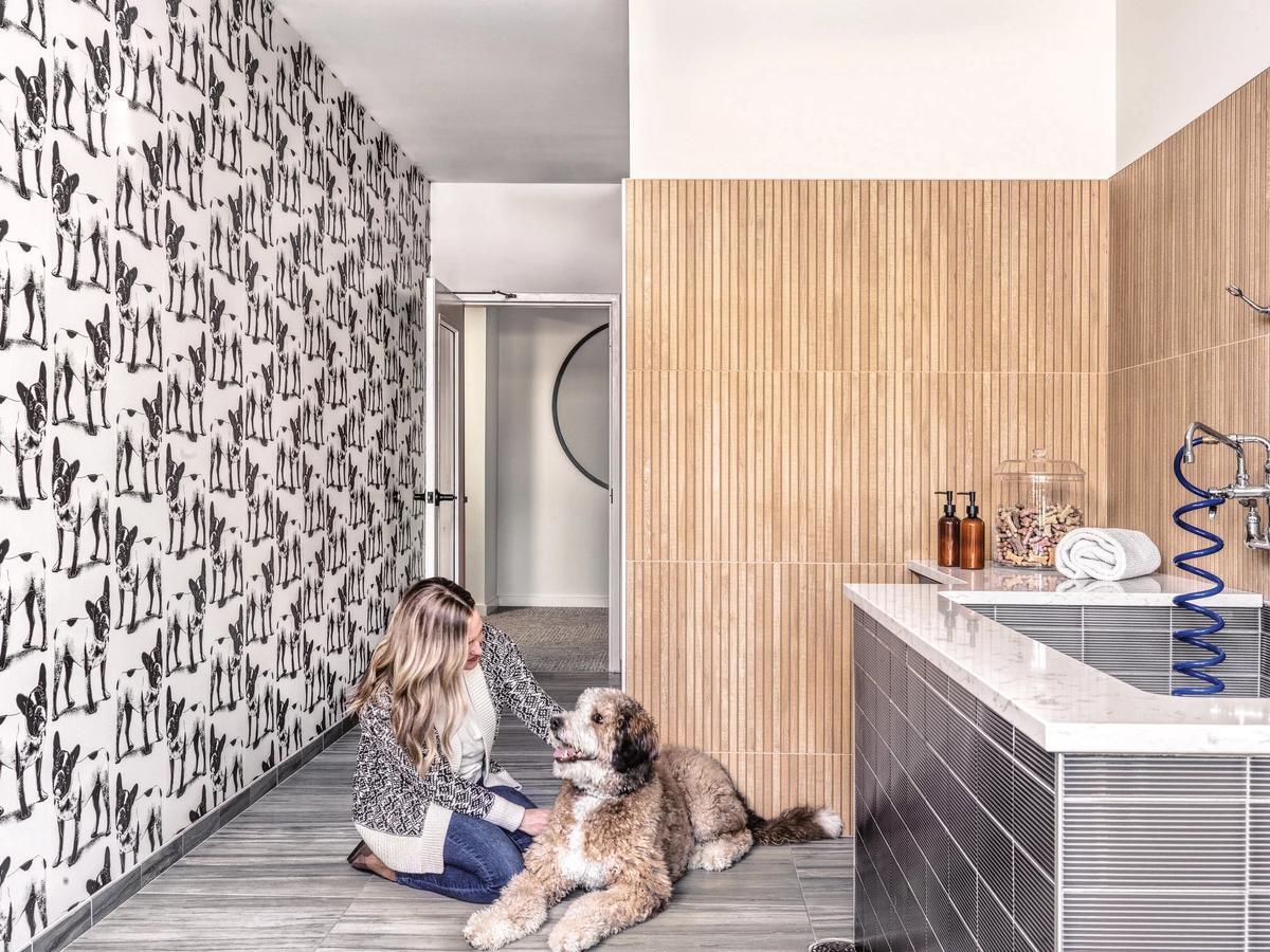 The Clover��Ԣ�������Բ���Ϊ��е�ǰ��ʱ����ѧ