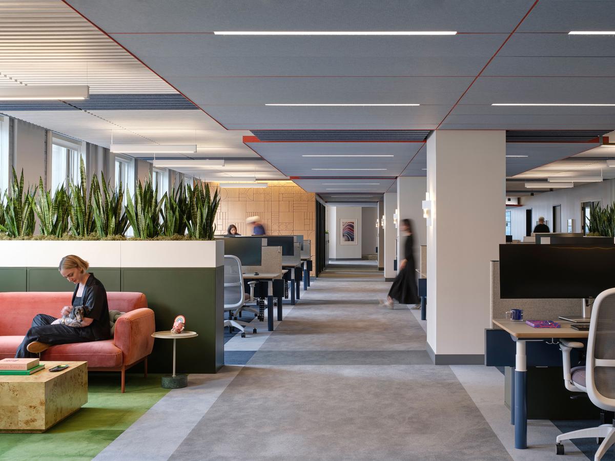 ��ѧר��Turf֥�Ӹ��ܲ���ն��δ���칫��ƴ�