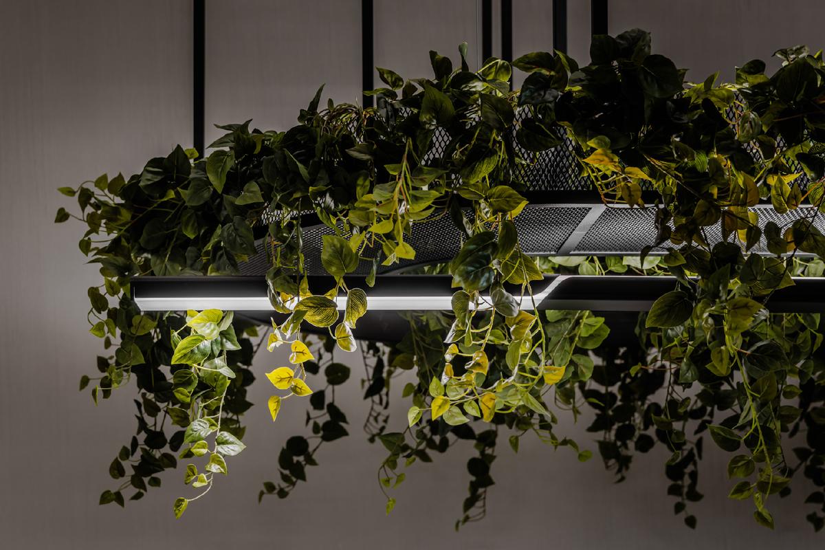 �¹���������Trilux������������ҵ�칫�ҵ���ѧ����