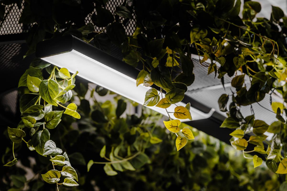 �¹���������Trilux������������ҵ�칫�ҵ���ѧ����