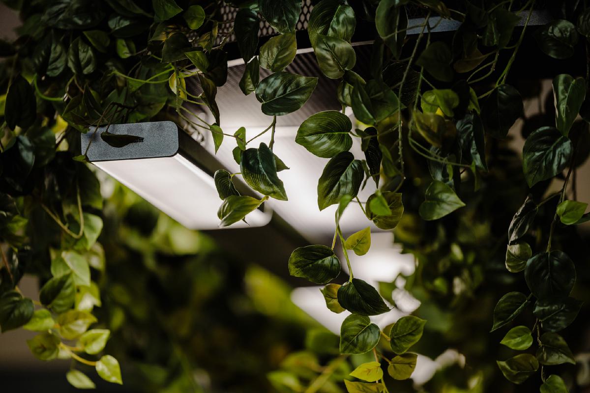 �¹���������Trilux������������ҵ�칫�ҵ���ѧ����