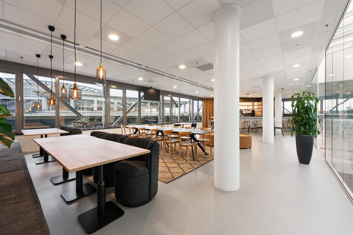 ����House of Redmore���칫��Ӧ���������ų�