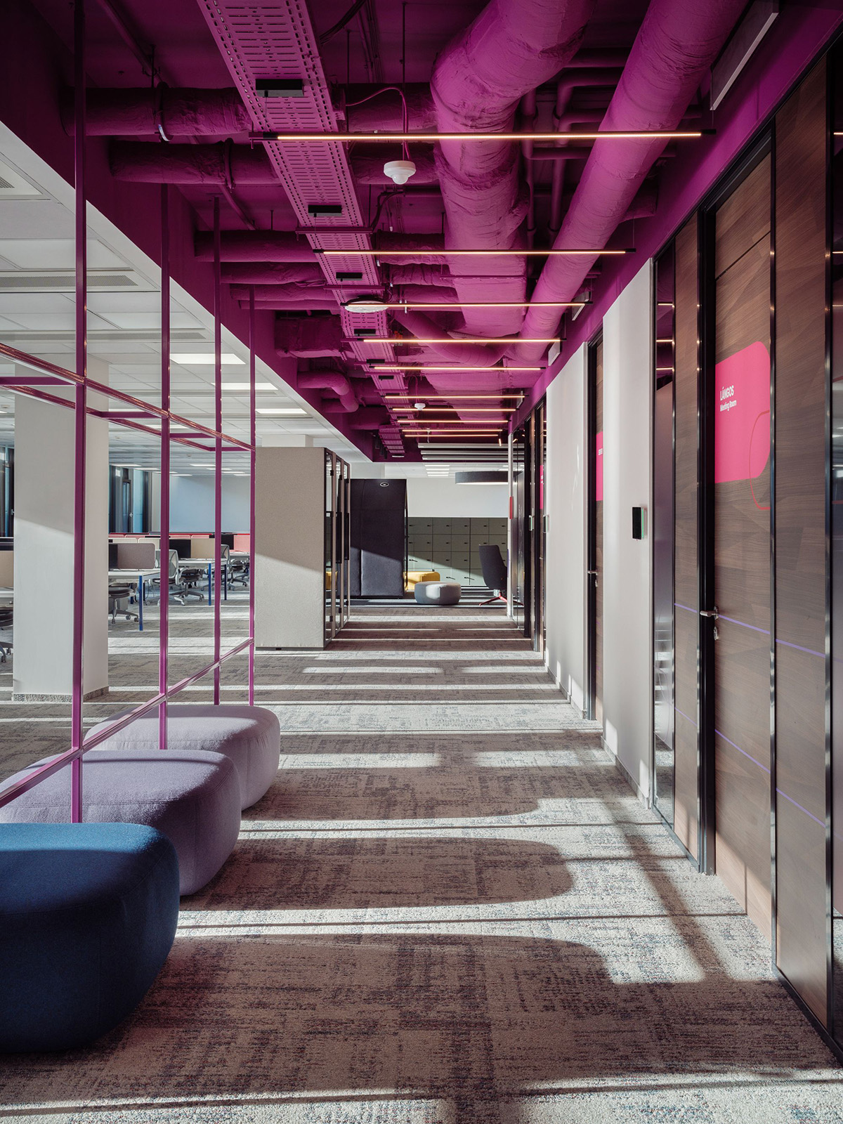 Foodora������˹����ɫ����ѧ�������־���