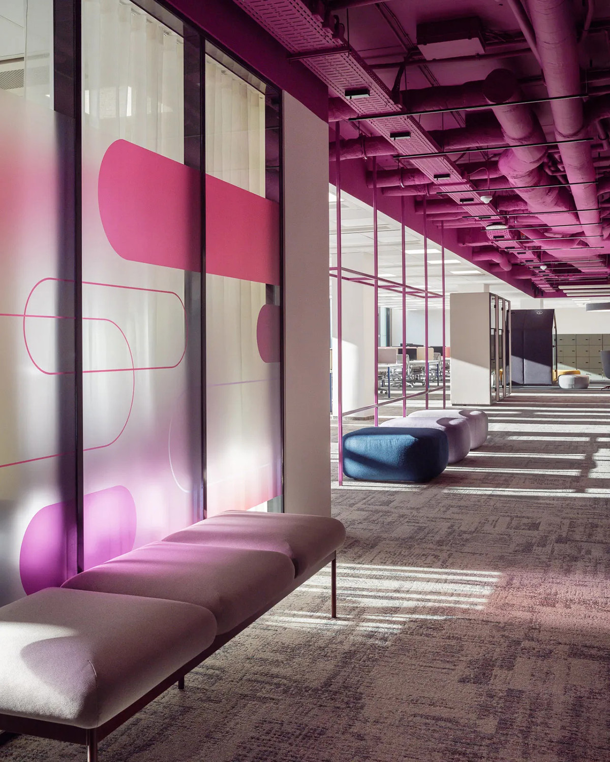 Foodora������˹����ɫ����ѧ�������־���