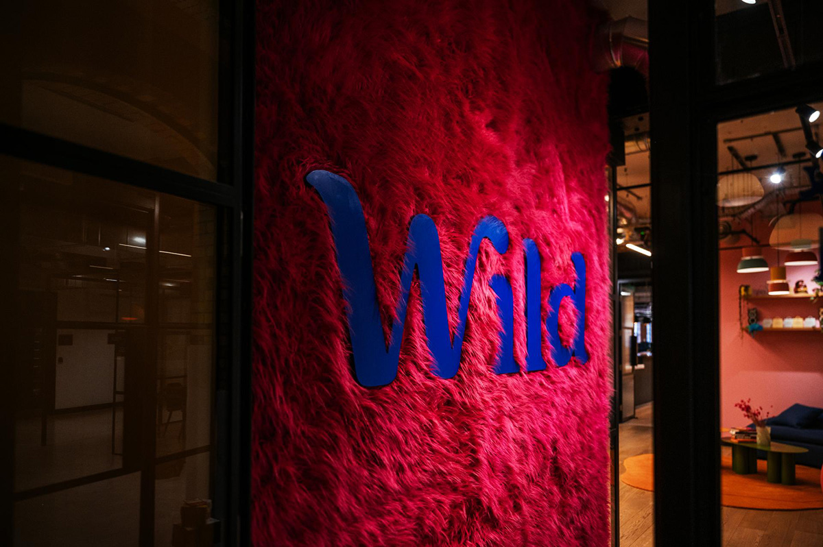 ��ױ����Wild�׶��ܲ������ﲻĿ���������
