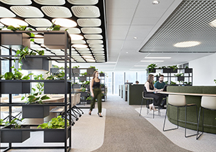 Allianz���ռ���ī�����칫�ң����컨����Ϊ�ռ䶨����